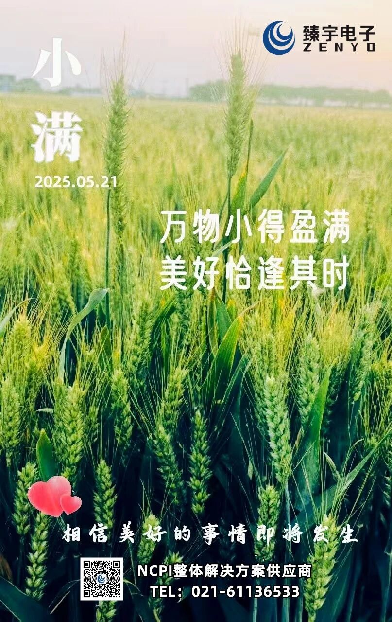 万物小得盈满 美好恰逢其时